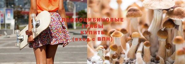 круглые Козловка
