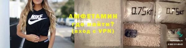 амф Шадринск