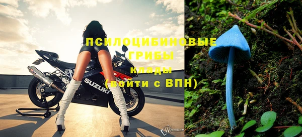 прущая мука Козельск