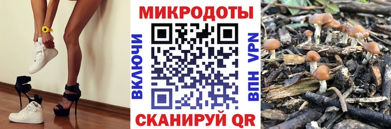 Галлюциногенные грибы MAGIC MUSHROOMS  Сорочинск 
